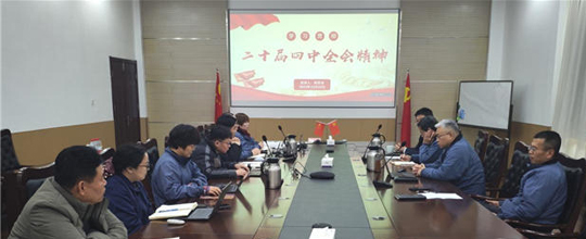 赛摩智能党总支组织召开党的二十届四中全会精